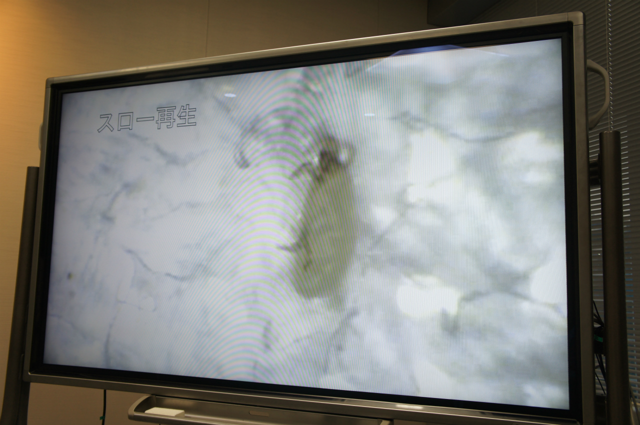 約37℃の温風によって温められたふとんの中で逃げようと動き始めるダニが吸引される瞬間。しがみつく力が弱いため、いとも簡単に吸い込まれる様子を動画で確認できた