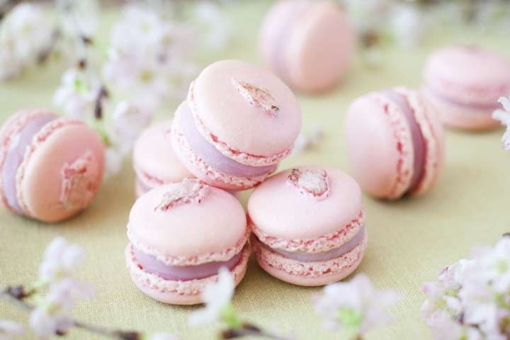 お花見にお祝いに。桜を愛でるフード5選 | GoodsPress Web - Part 2