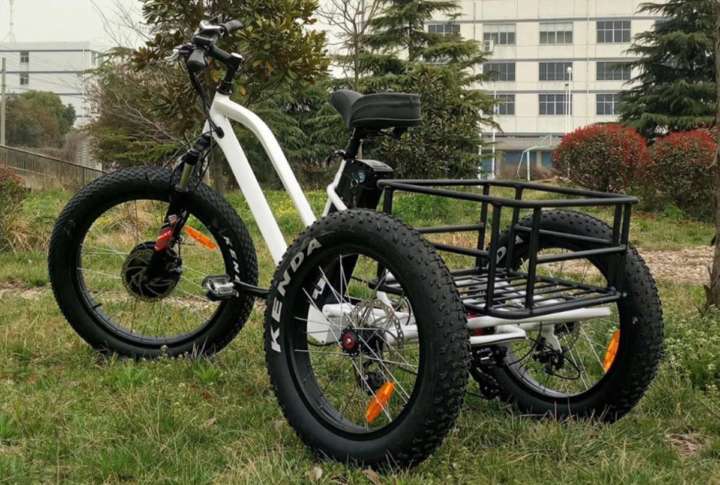 TAIGA様　購入専用　電動アシスト自転車 三輪の電動アシスト自転車なら荷物をガッツリ運べますよ