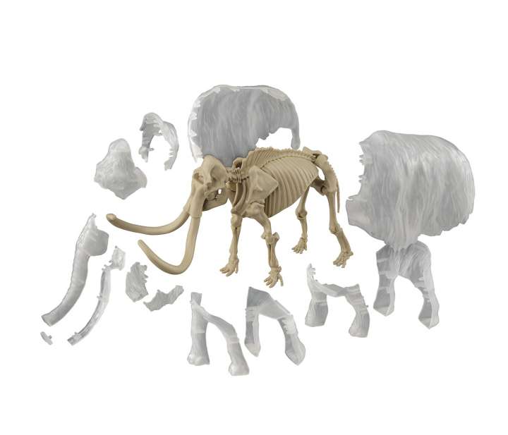 温度で色が変わる！骨格から作れるマンモスプラモでプチ発掘体験