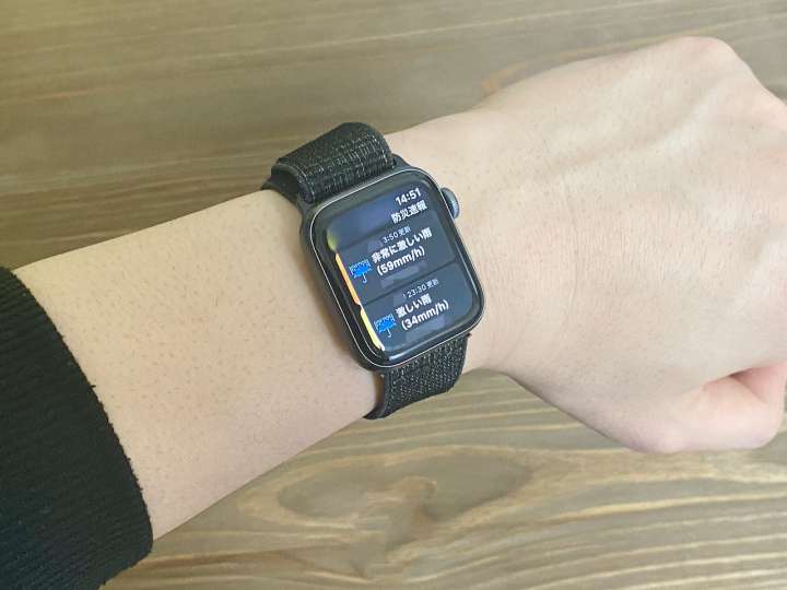 あめちゃん様 Nike Apple Watch Band 難けれ