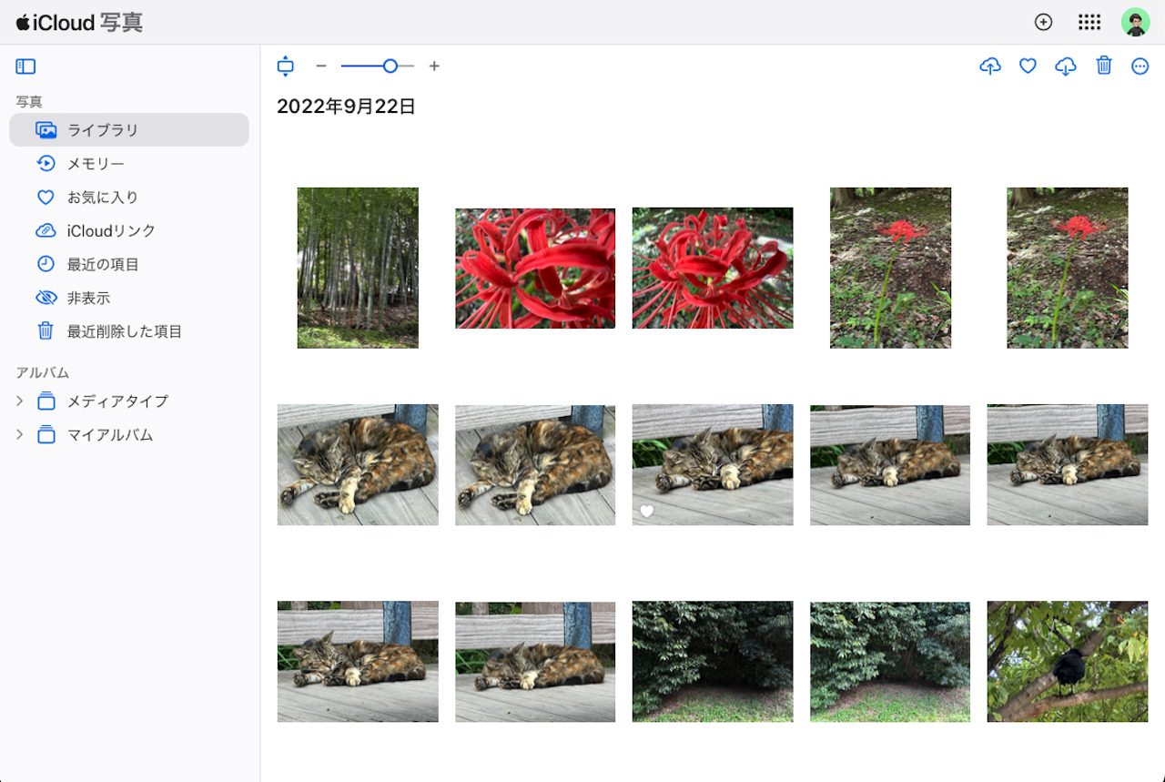 iCloud.comにアクセスして開いたiCloid写真の画面