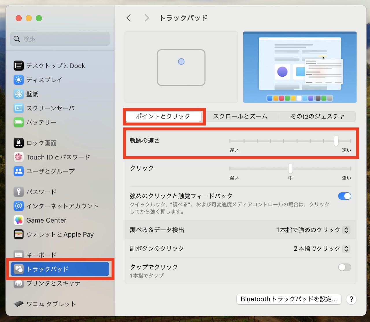 Mac設定画面イメージ