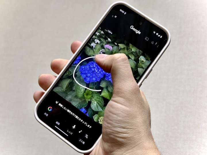 画像が削除されました