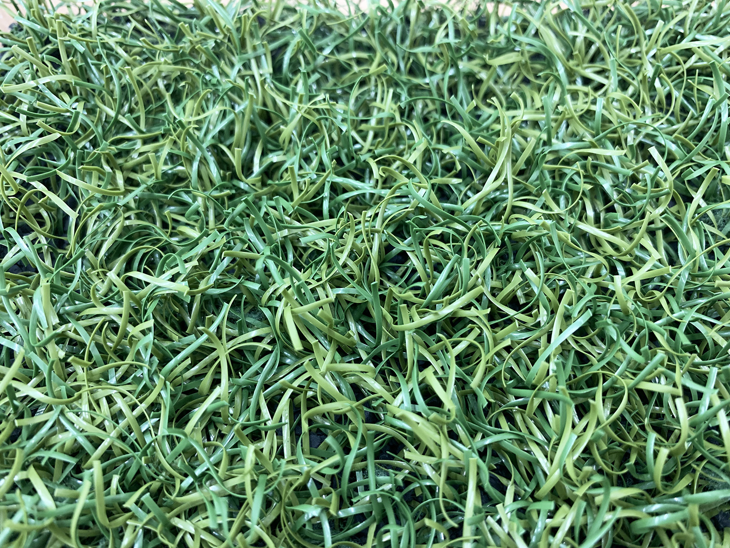 ▲「ミズノが開発した捲縮加工（パーマ）を施した野球専用の人工芝」