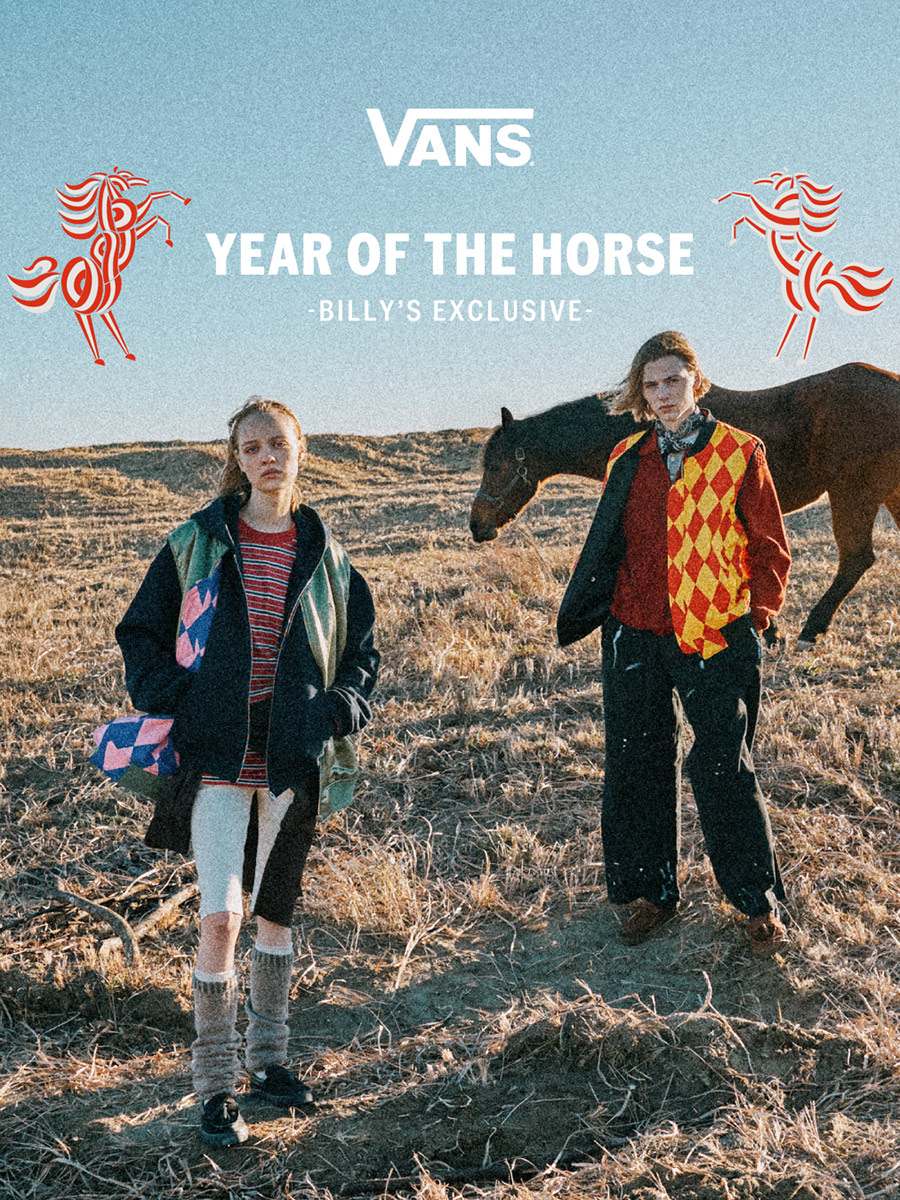 クラシカルでシブい。大人が履きたくなるVANSってこういうことだと思う