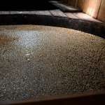 ▲仕込み桶で熟成されるもろみ