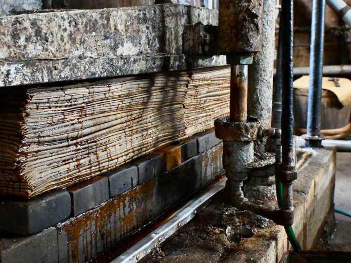 ▲麻袋にもろみを詰めて圧搾