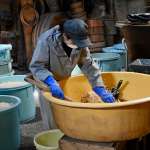 ▲麹づくりのため穀物を混ぜる智子さん