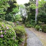 ▲山上遊歩道。見晴し台や足湯スポットも