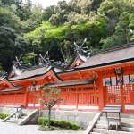 ▲こちらの御本殿は国指定重要文化財