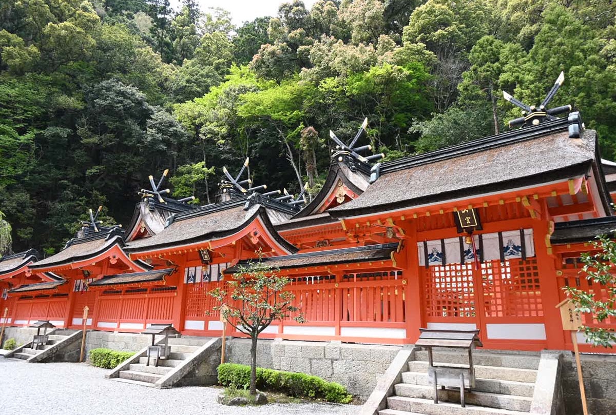 ▲こちらの御本殿は国指定重要文化財