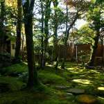 ▲美しい日本庭園を望める珍しい酒蔵