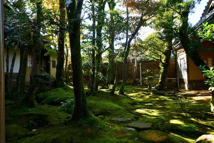 ▲美しい日本庭園を望める珍しい酒蔵