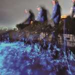 富山海の幸 名店4選