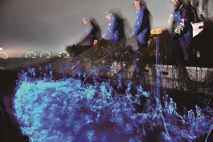 富山海の幸 名店4選