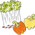 ▲抗酸化力がずば抜けているのがブロッコリースプラウトとパプリカ ［食楽web］