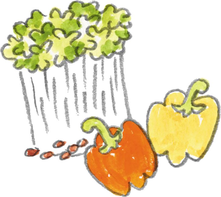 ▲抗酸化力がずば抜けているのがブロッコリースプラウトとパプリカ ［食楽web］