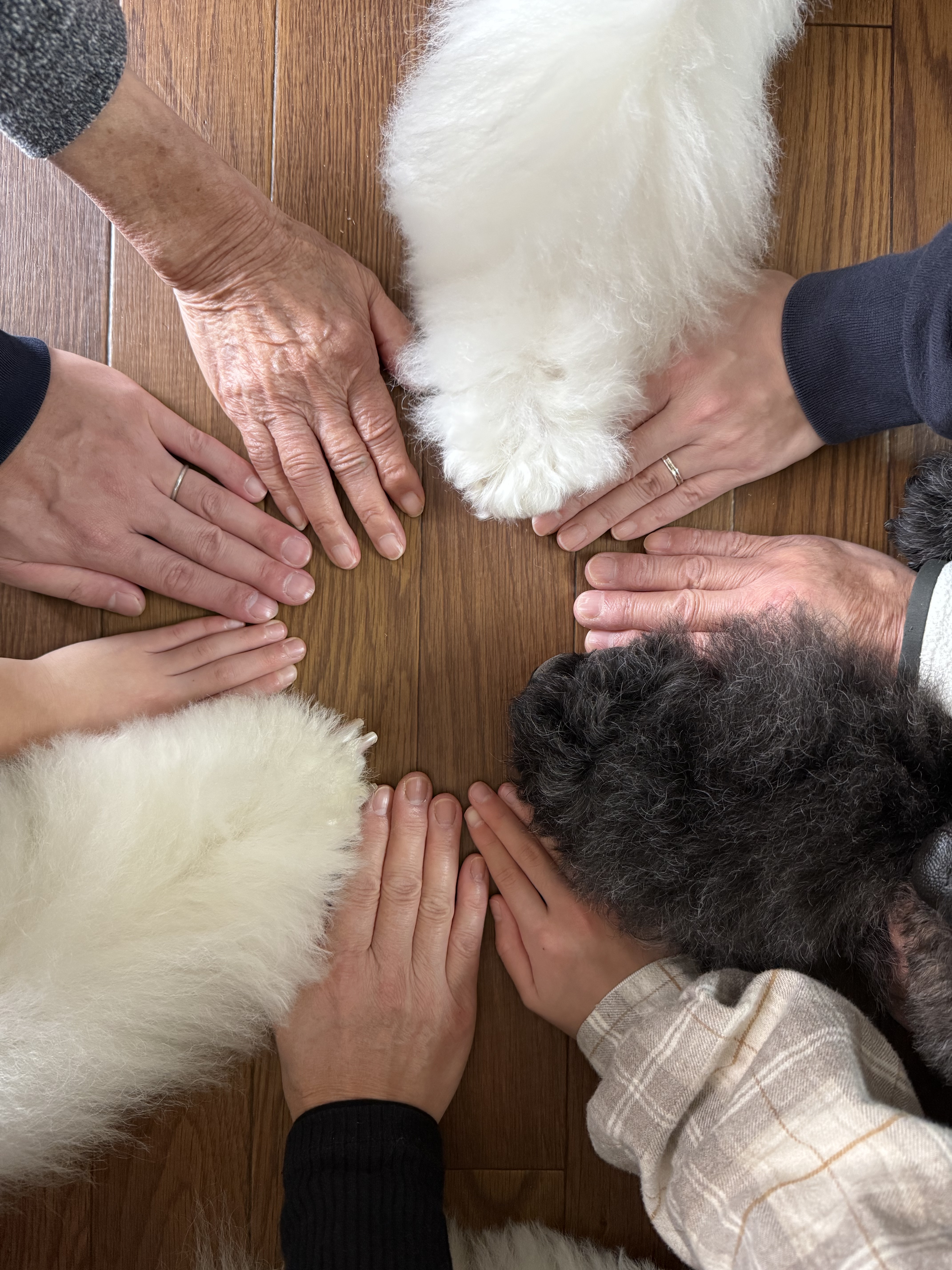 このコたちのために。その思いが心と体を若返らせる【with DOGS】【DOG LOVERS PRESS】