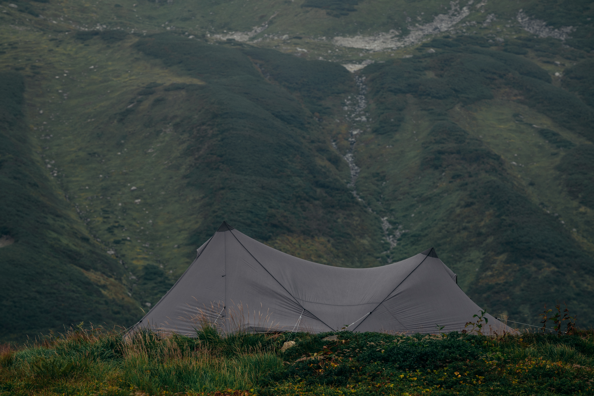 テント選びってなんで終わらない？ サバティカル2026年新作のスペックが本気すぎてまた沼に沈みそうな話