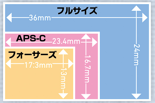 繊細にして優美。十分にして最適。いまこそAPS-C！【さあ、カメラをはじめよう 2026 CAMERA STYLE】