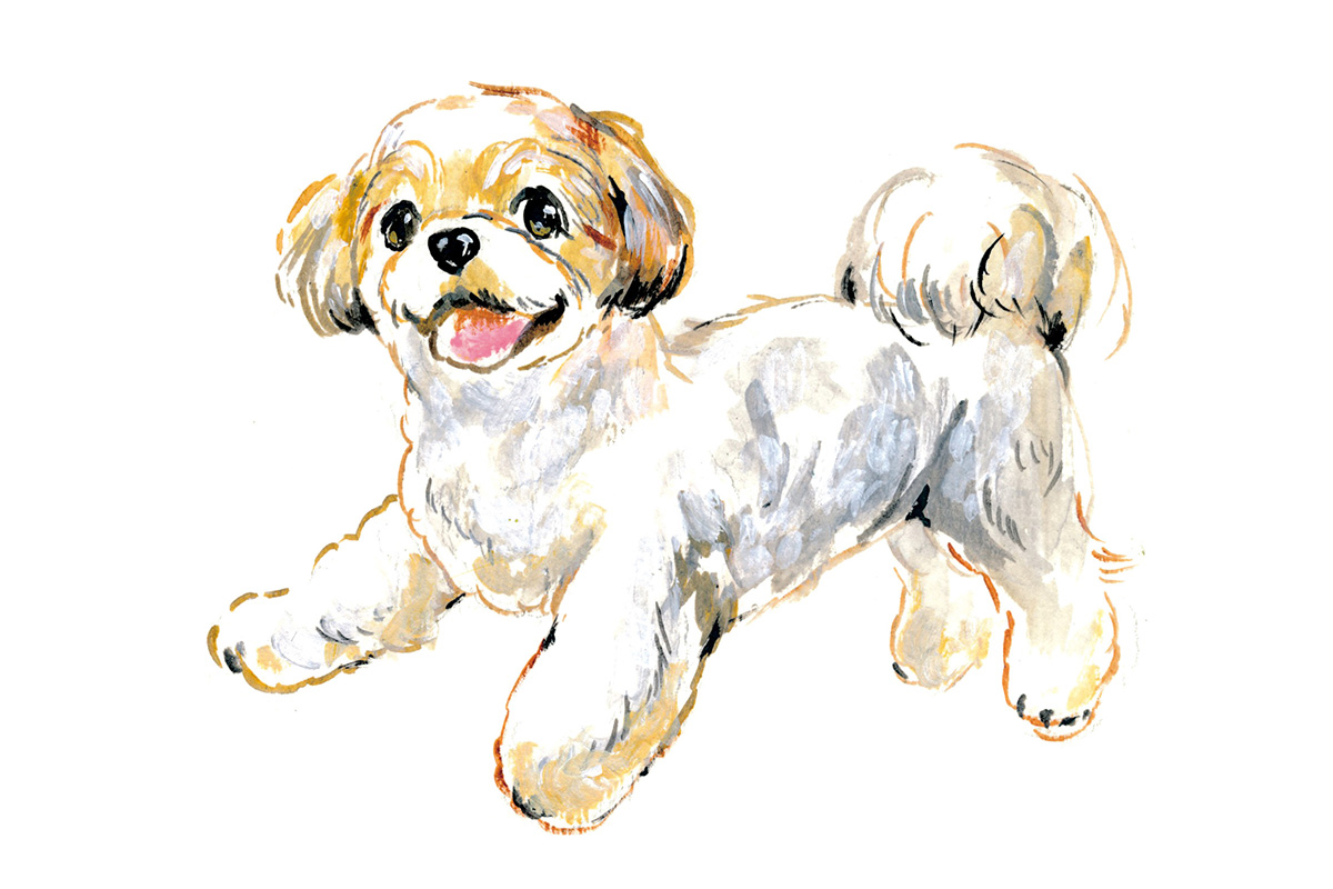 「犬ギャップ図鑑」公開！ 犬って、見た目の印象から受けるイメージとはまた違う！？ 【with DOGS】【DOG LOVERS PRESS】